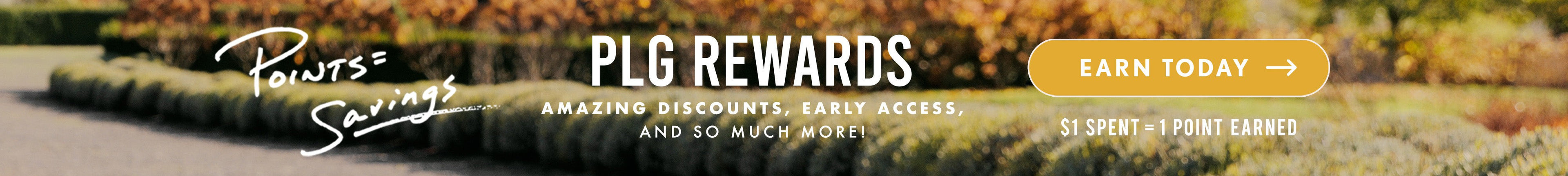 Outdoors fall scenery on a street lined with hedges and autumnal trees. Text reads "PLG Rewards. Amazing discounts, early access, and so much more. Earn today. $1 spent equals 1 point earned."