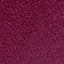 Boysenberry